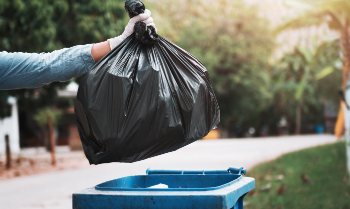 10 Best Junk Collection Trash Removal Bags for Easy Cleanup